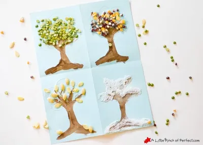 4 Seasons Nature Tree Craft craft