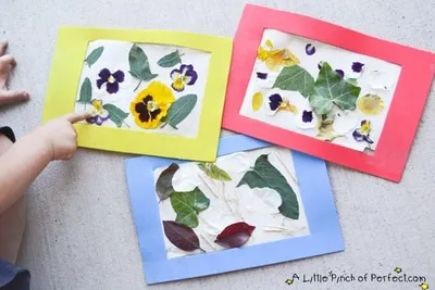 Reusable Nature Art Collage Frame craft