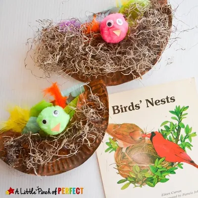 Paper Plate Bird Nest Craft craft