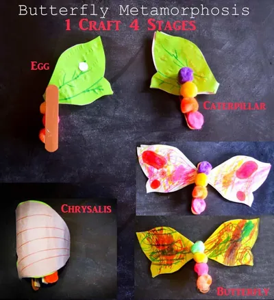 Butterfly Metamorphosis Craft
