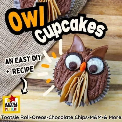 Owl Cupcakes