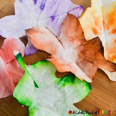 Autumn Leaf Craft: STEAM Absorption Art craft