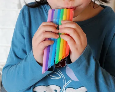 Straw Flute craft