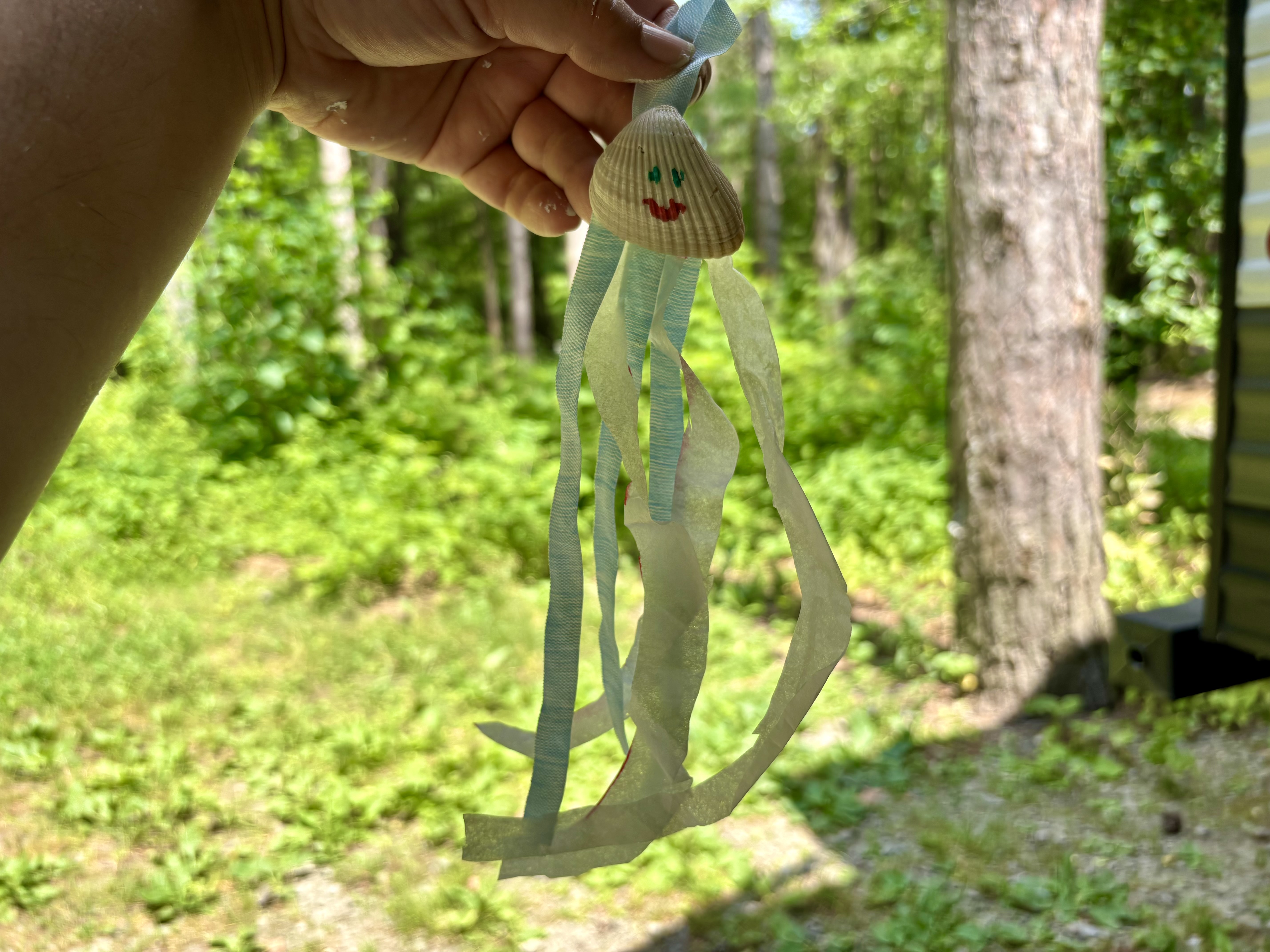 Seashell Jellyfish