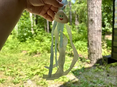 Seashell Jellyfish craft