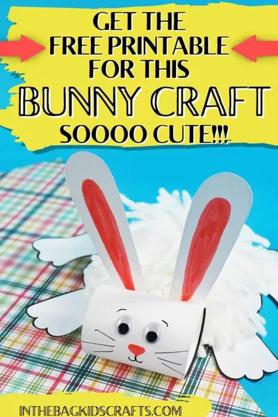 Fluffy Rabbit Craft craft