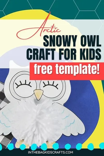 Arctic Owl Craft