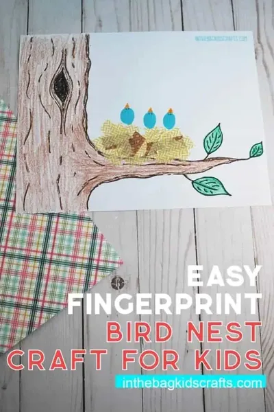 Bird Nest Craft craft