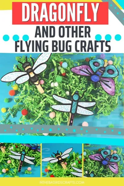 Flying Dragonfly Craft craft