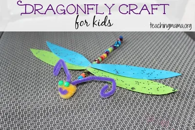 Dragonfly Craft craft
