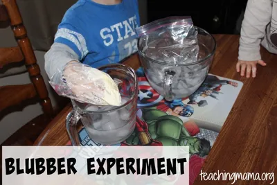 Blubber Experiment craft