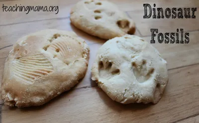 DIY Dinosaur Fossils craft