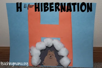 H is for Hibernation