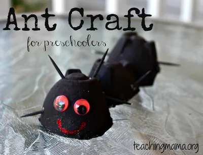 Ant Craft craft