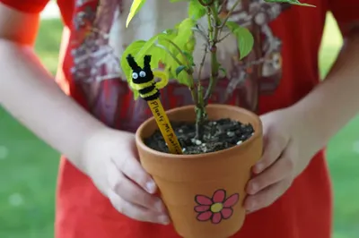 Popsicle Stick Bee craft