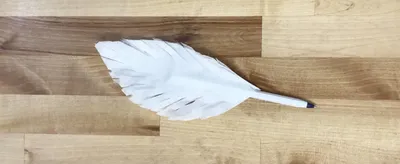 "Feather" Pen craft
