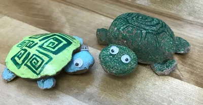 Painted Turtle Rocks craft