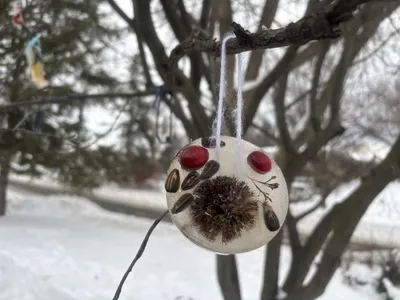 Frozen Feeder Ornaments craft
