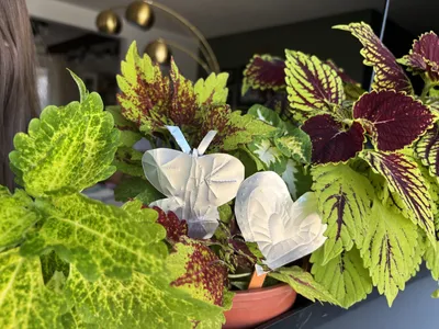Shimmering Soda Can Garden Stakes craft