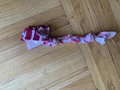 Recycled T-Shirt Dog Toys craft
