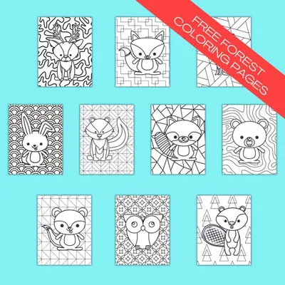 Woodland Animal Coloring Pages craft