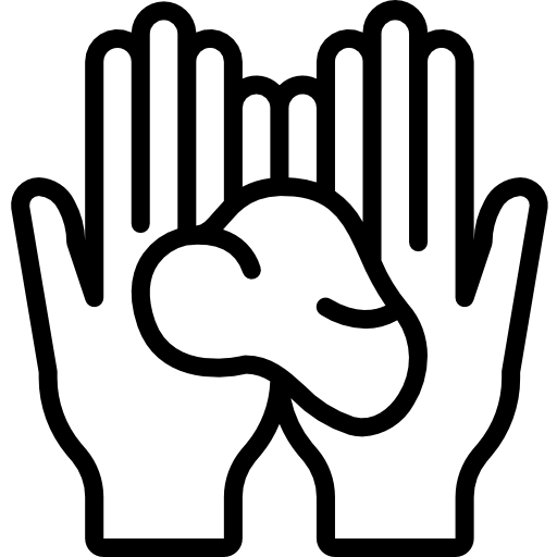 Fondant